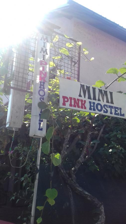 Mimi Pink Hostel Ochryda Zewnętrze zdjęcie